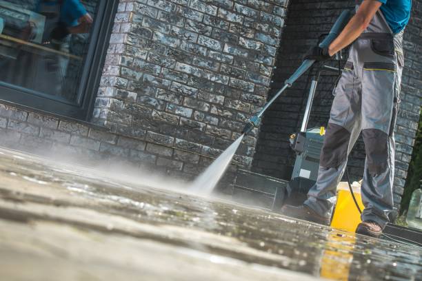 Best Soft Washing  in Key Vista, FL