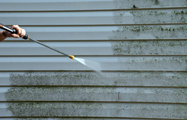 Best Fence Cleaning  in Key Vista, FL